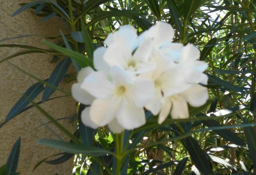 בית מלון כפרי Atomic Inn Beatty Near Death Valley