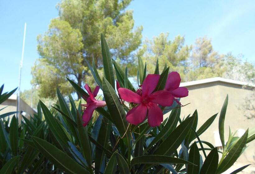 בית מלון כפרי Atomic Inn Beatty Near Death Valley