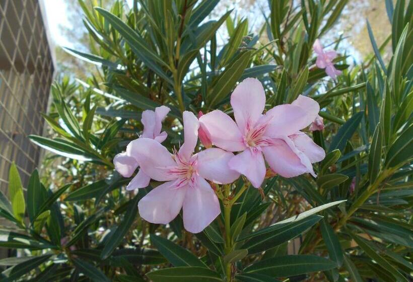 בית מלון כפרי Atomic Inn Beatty Near Death Valley