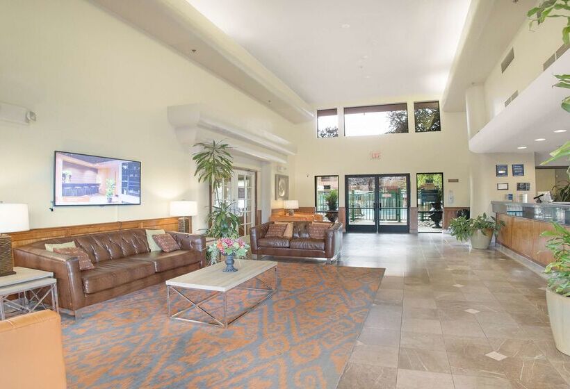 Best Western Plus Orchid Hotel & Suites