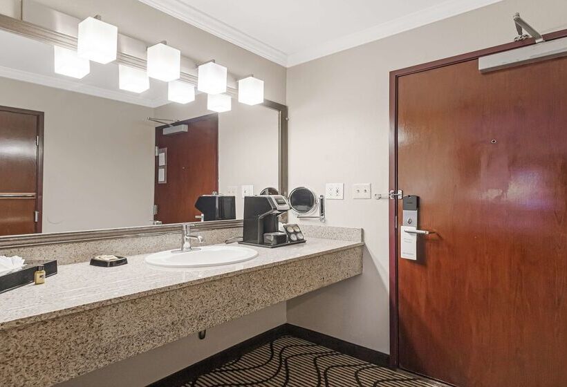 Best Western Plus Orchid Hotel & Suites