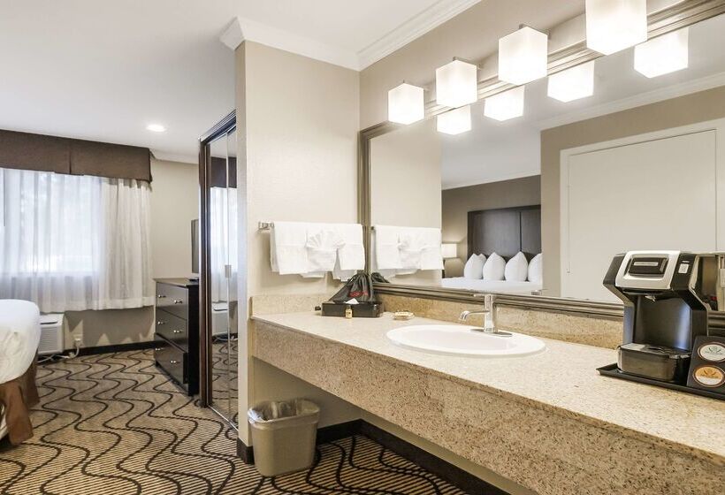 Best Western Plus Orchid Hotel & Suites