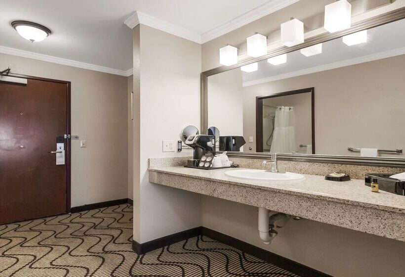 Best Western Plus Orchid Hotel & Suites