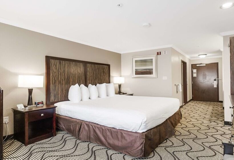 Best Western Plus Orchid Hotel & Suites