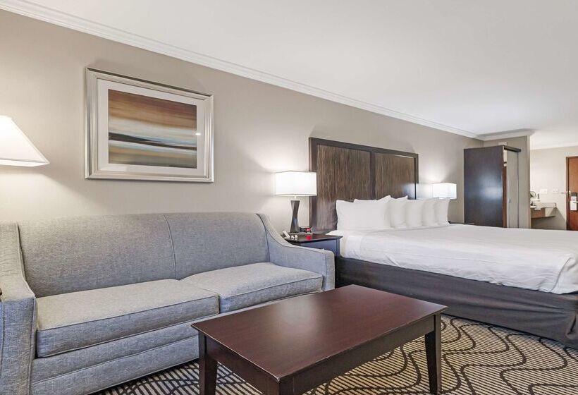 Best Western Plus Orchid Hotel & Suites