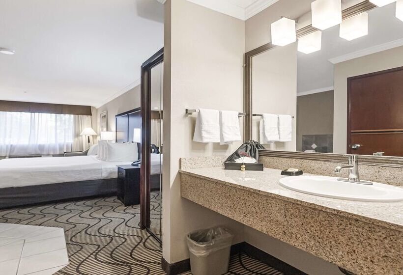 Best Western Plus Orchid Hotel & Suites