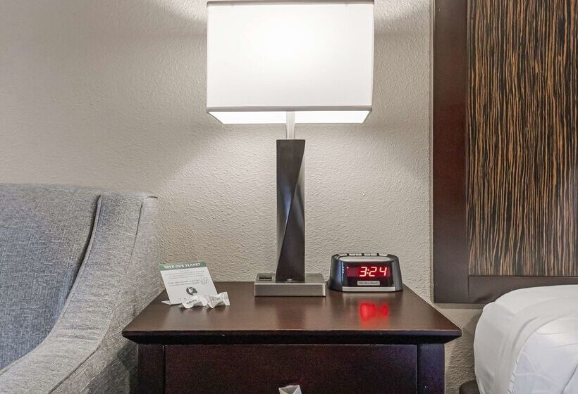 Best Western Plus Orchid Hotel & Suites