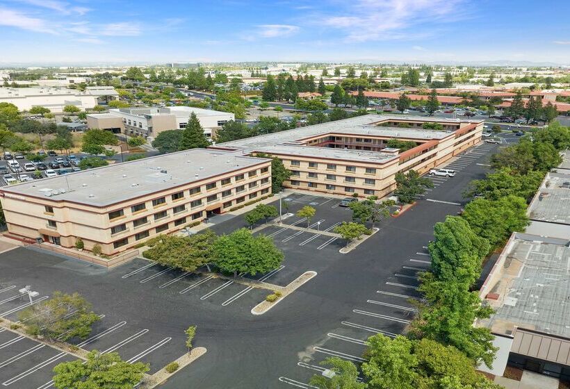 Best Western Plus Orchid Hotel & Suites