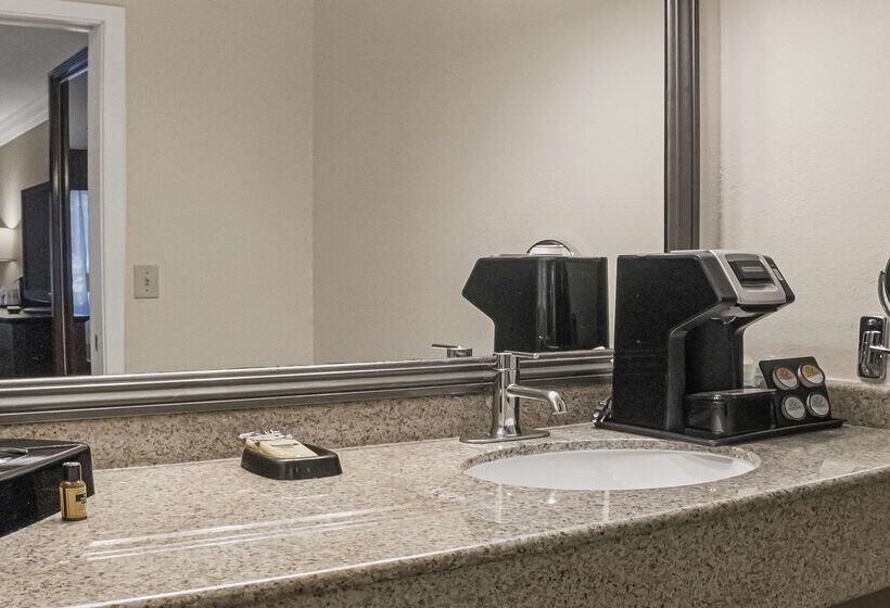 Best Western Plus Orchid Hotel & Suites