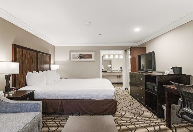 Best Western Plus Orchid Hotel & Suites