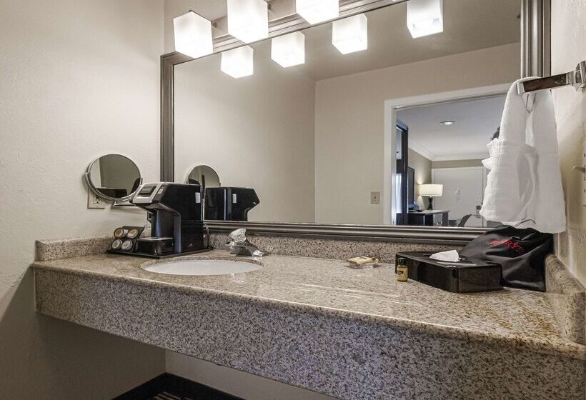 Best Western Plus Orchid Hotel & Suites