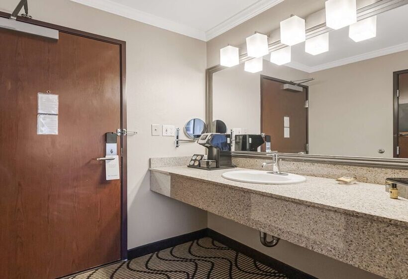 Best Western Plus Orchid Hotel & Suites