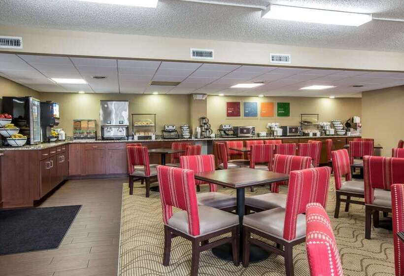 هتل Comfort Inn & Suites At Dollywood Lane