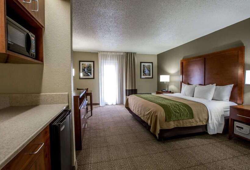 هتل Comfort Inn & Suites At Dollywood Lane