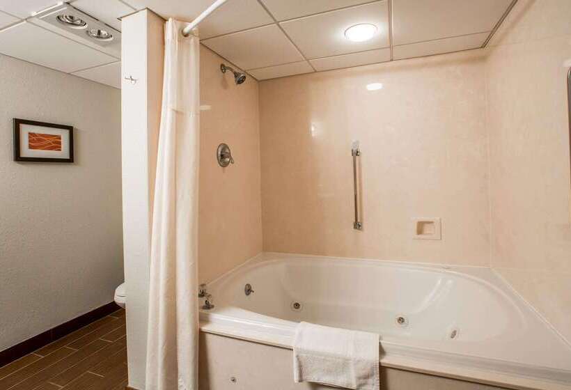 هتل Comfort Inn & Suites At Dollywood Lane