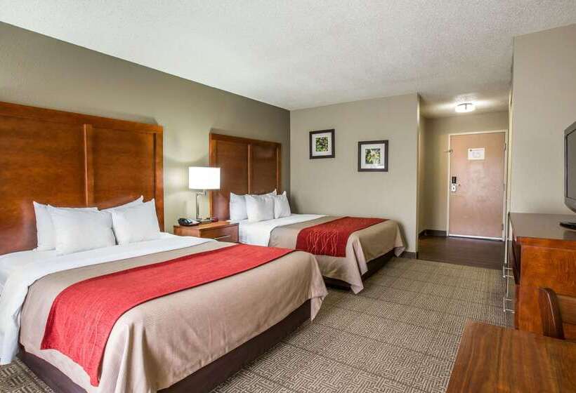 هتل Comfort Inn & Suites At Dollywood Lane