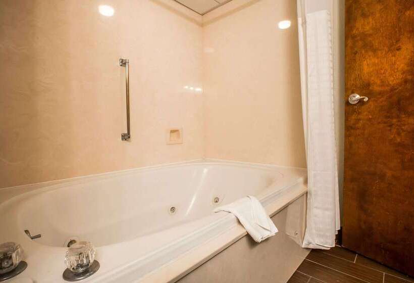 هتل Comfort Inn & Suites At Dollywood Lane