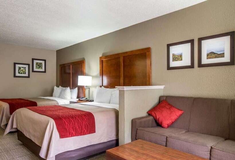 هتل Comfort Inn & Suites At Dollywood Lane
