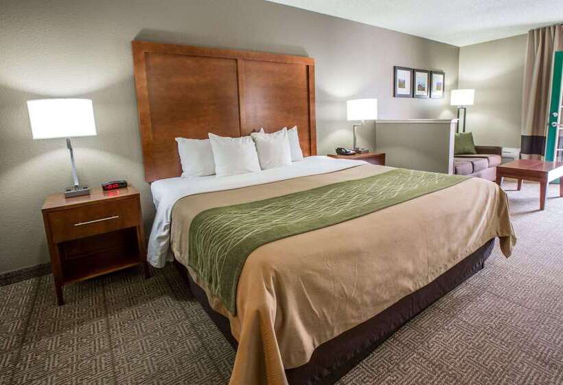 هتل Comfort Inn & Suites At Dollywood Lane