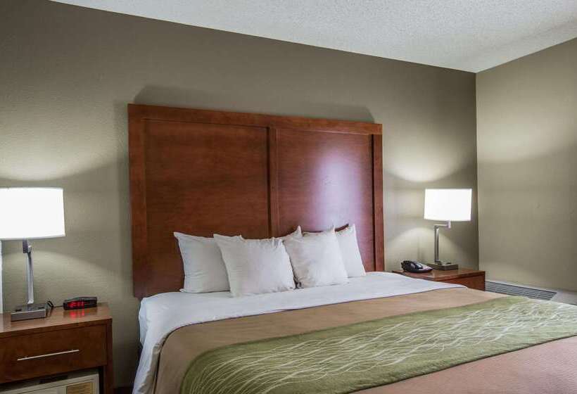 هتل Comfort Inn & Suites At Dollywood Lane