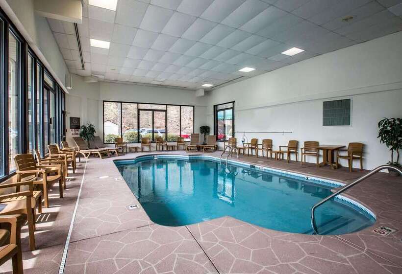 هتل Comfort Inn & Suites At Dollywood Lane