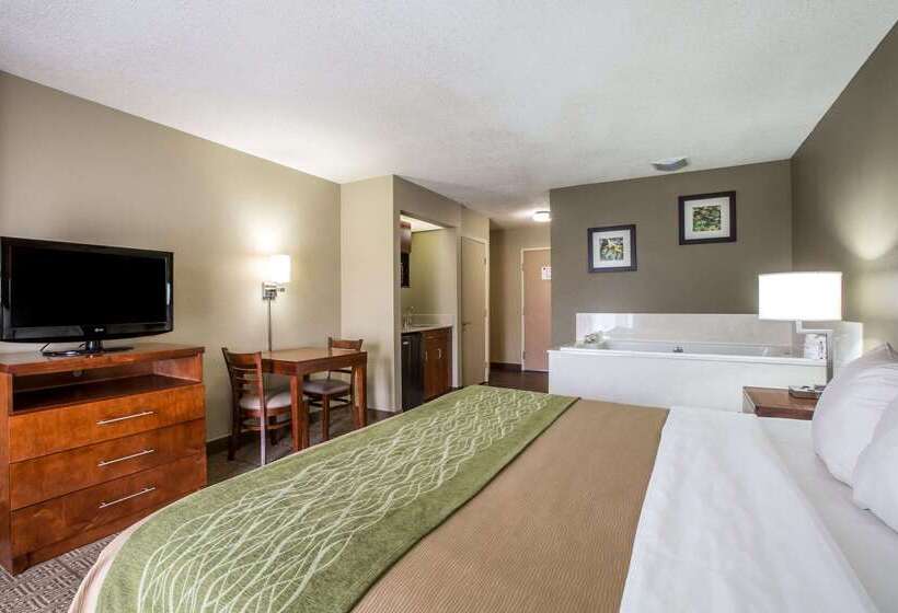 هتل Comfort Inn & Suites At Dollywood Lane