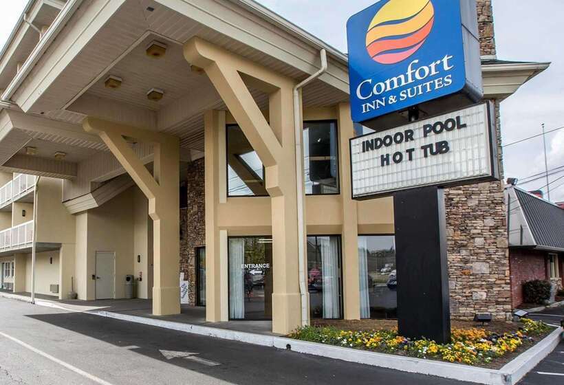 هتل Comfort Inn & Suites At Dollywood Lane