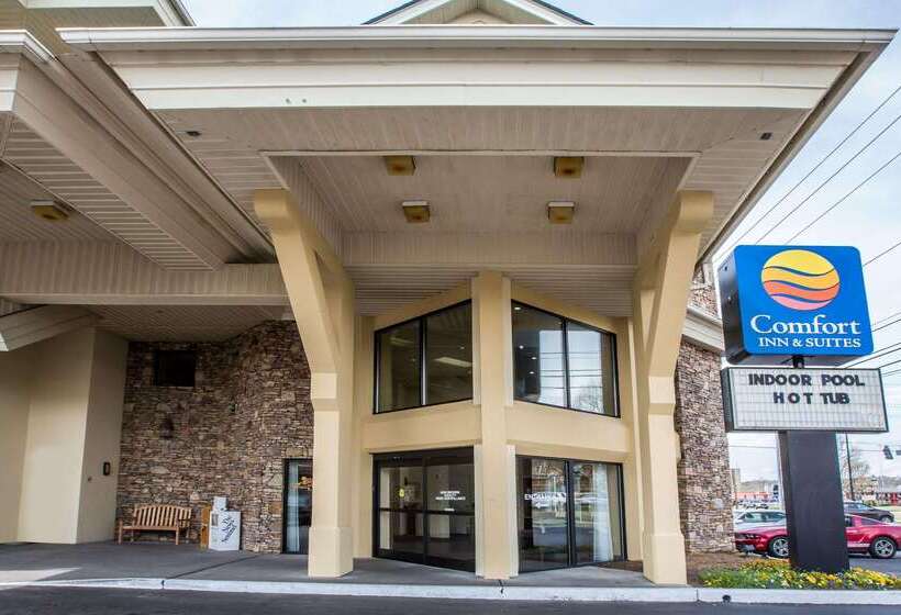 هتل Comfort Inn & Suites At Dollywood Lane