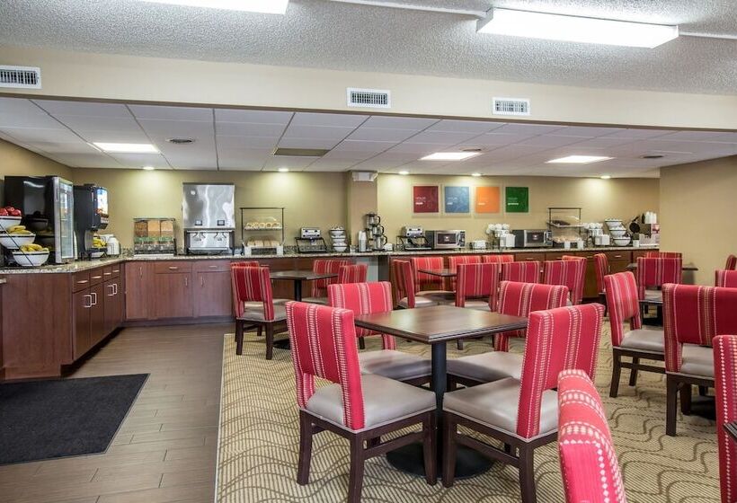 هتل Comfort Inn & Suites At Dollywood Lane