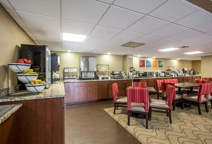 هتل Comfort Inn & Suites At Dollywood Lane