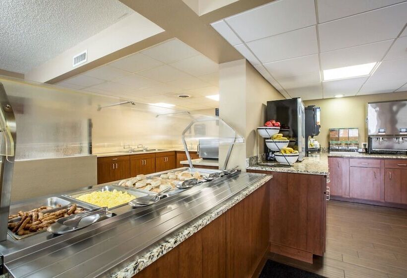 هتل Comfort Inn & Suites At Dollywood Lane