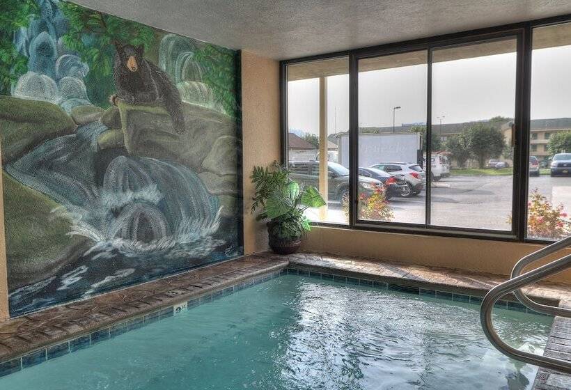 هتل Comfort Inn & Suites At Dollywood Lane