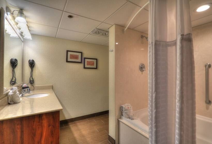 هتل Comfort Inn & Suites At Dollywood Lane