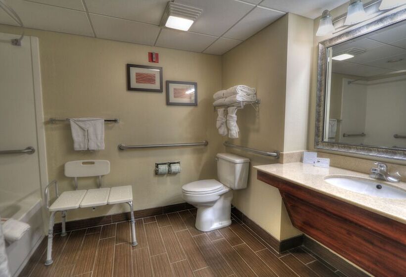 هتل Comfort Inn & Suites At Dollywood Lane