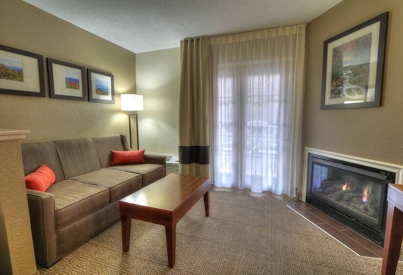 هتل Comfort Inn & Suites At Dollywood Lane