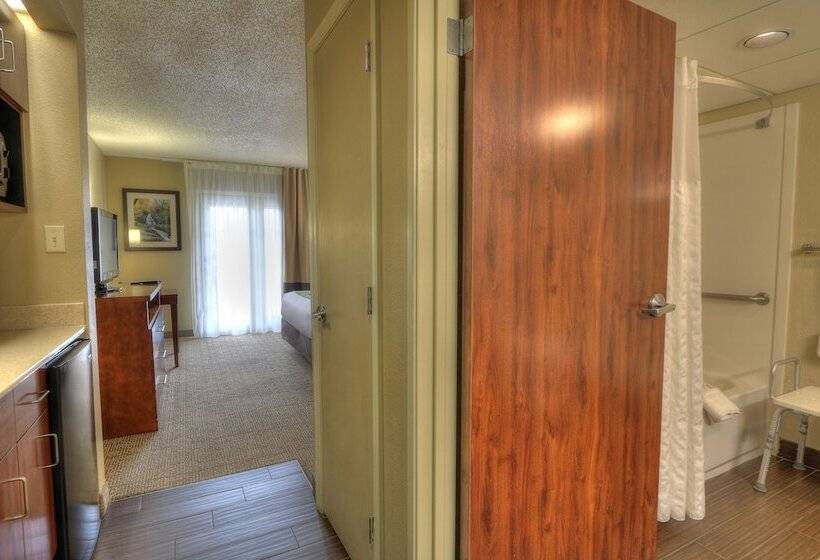 هتل Comfort Inn & Suites At Dollywood Lane