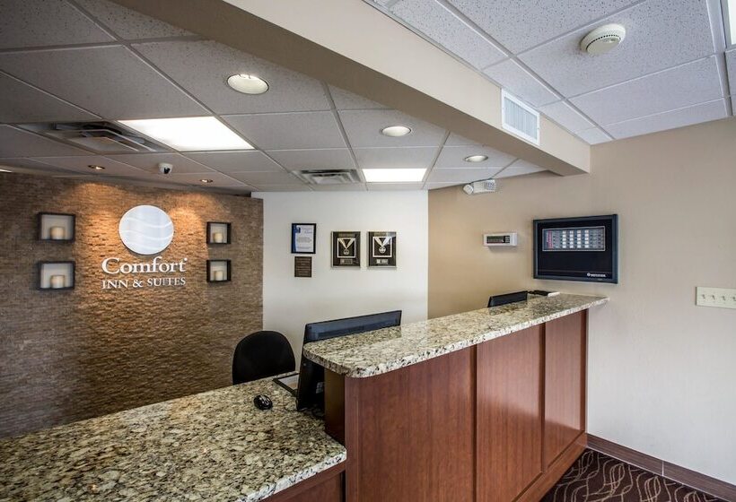 هتل Comfort Inn & Suites At Dollywood Lane