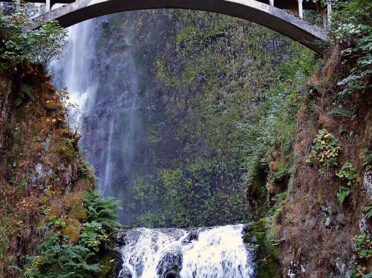 Doubletree By Hilton Hotel Vancouver