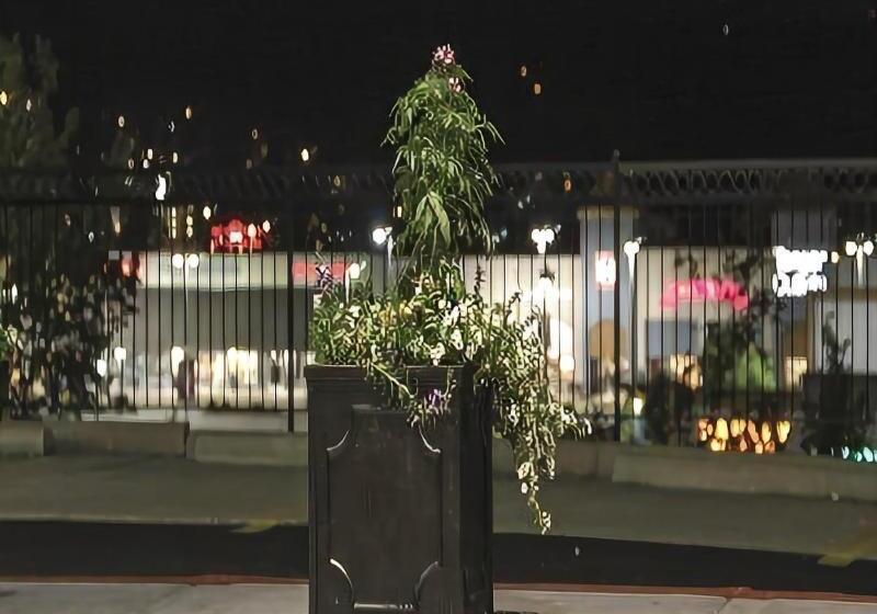 호텔 Grand View Inn & Suites