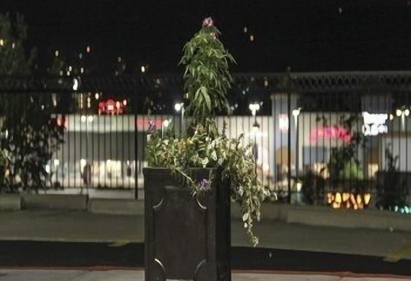 호텔 Grand View Inn & Suites