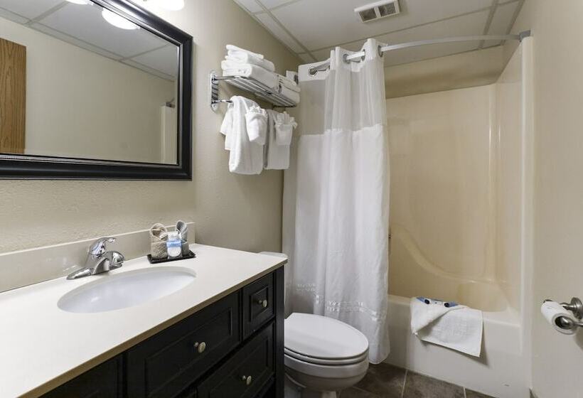 فندق Grand View Inn & Suites