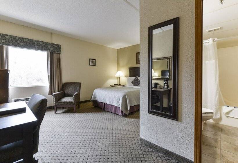 酒店 Grand View Inn & Suites