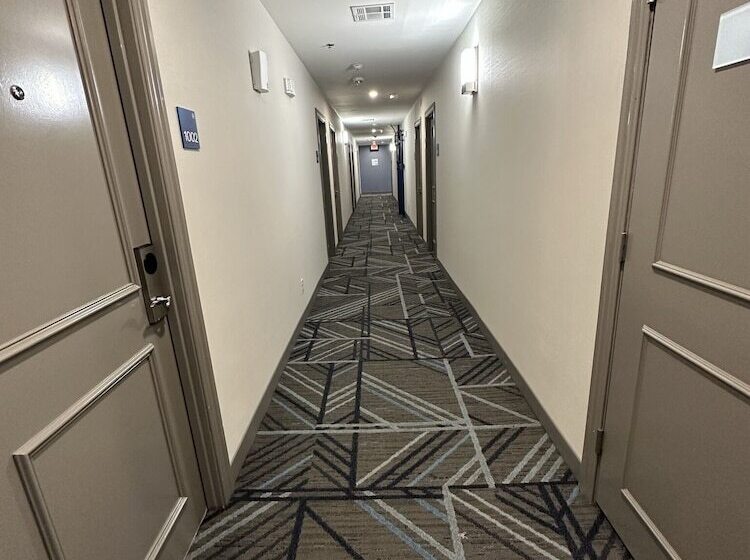 酒店 Holiday Inn Express   Dallas Downtown, An Ihg