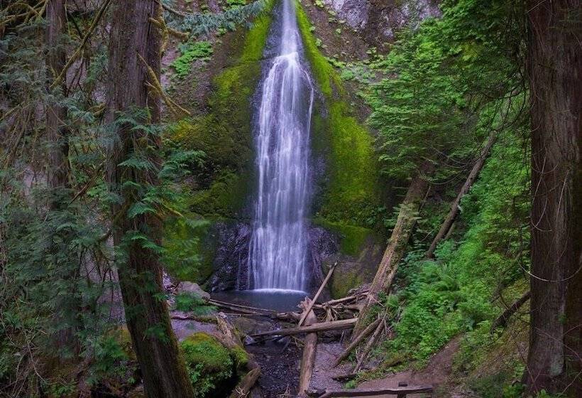 فندق Olympic Inn & Suites Port Angeles