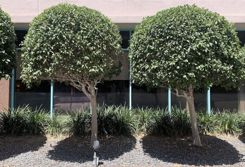 فندق Oxford Palace