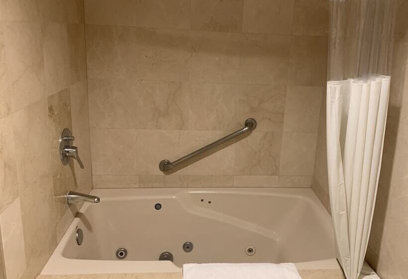 فندق Oxford Palace