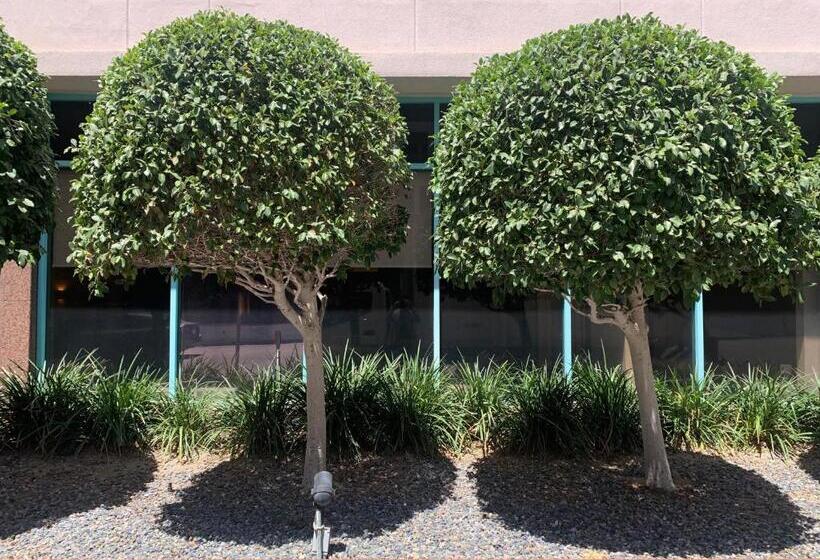 فندق Oxford Palace