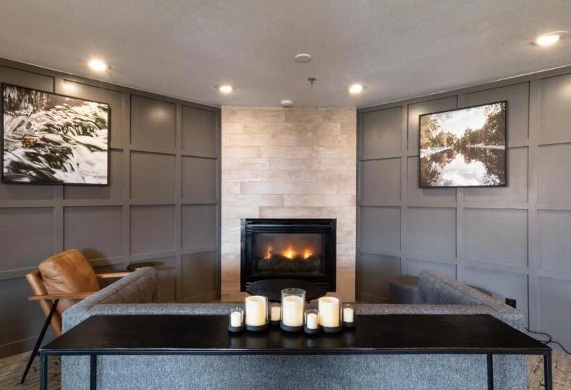 فندق Oxford Suites Chico