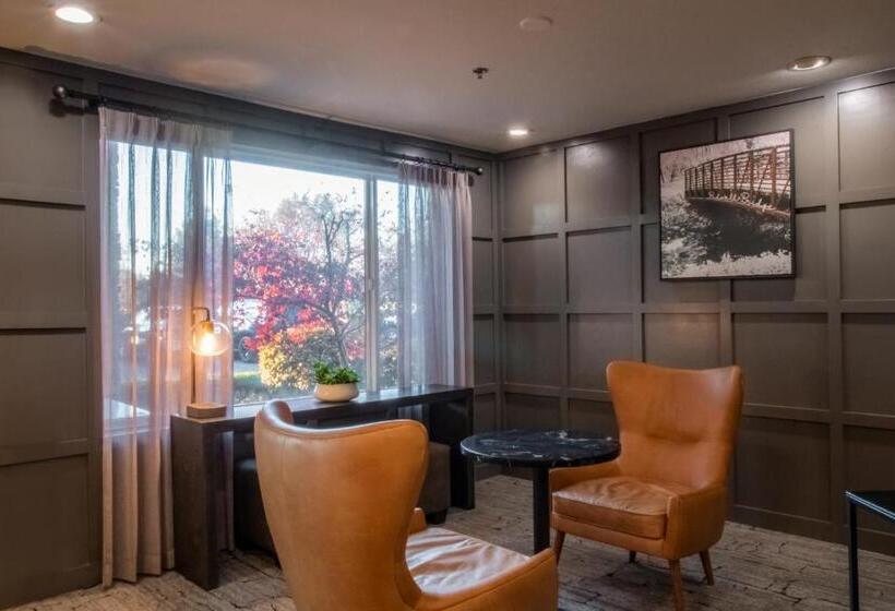 فندق Oxford Suites Chico