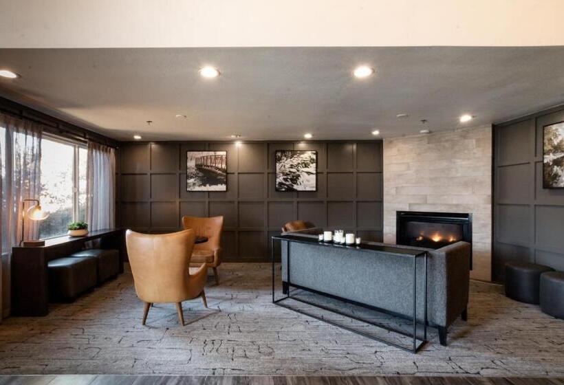 فندق Oxford Suites Chico